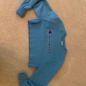 Champion cropped hoodie